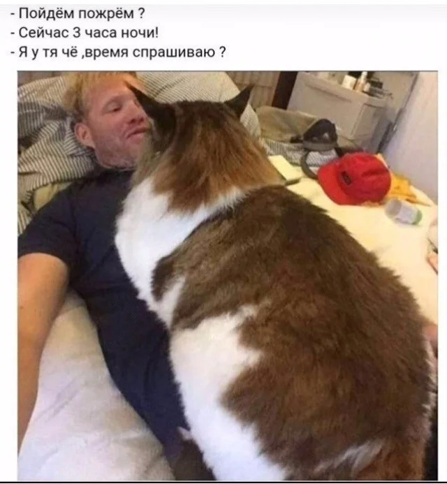 Новые смешные картинки