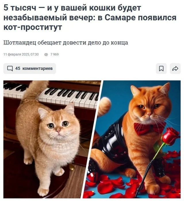 С 5 месяцев девочке поздравления