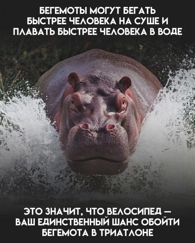 Ох как же свежок! Приколы!