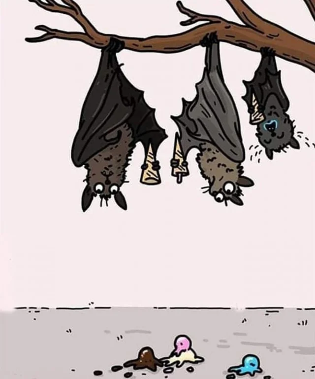 Новые прикольные картинки