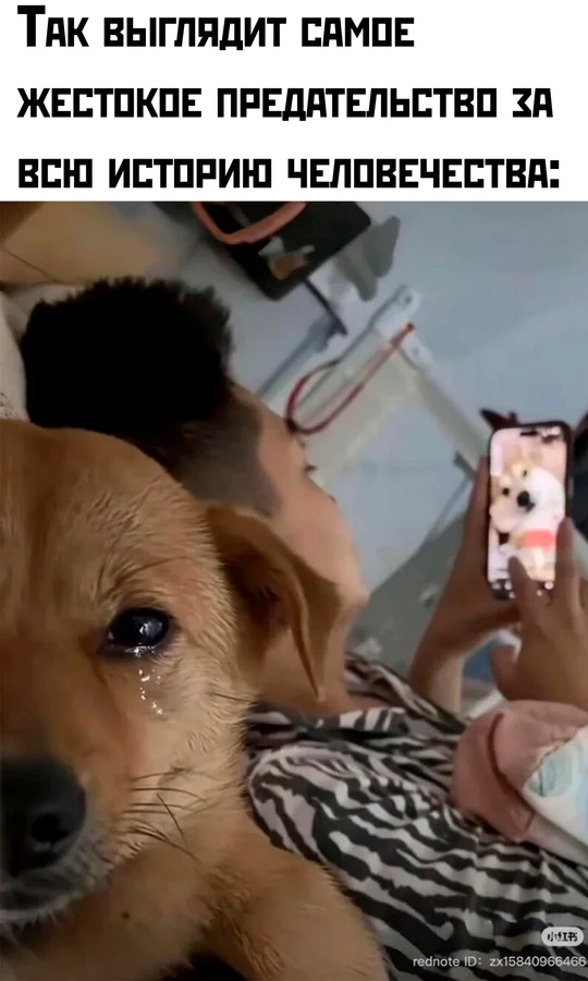 Веселей уже некуда