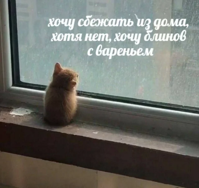 Юмор для супер взрослых