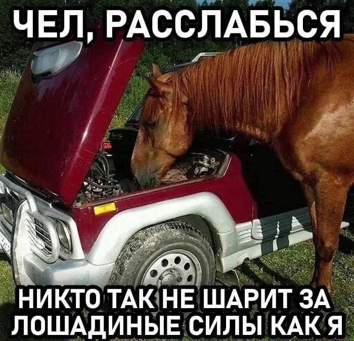 Нестандартный юмор #284