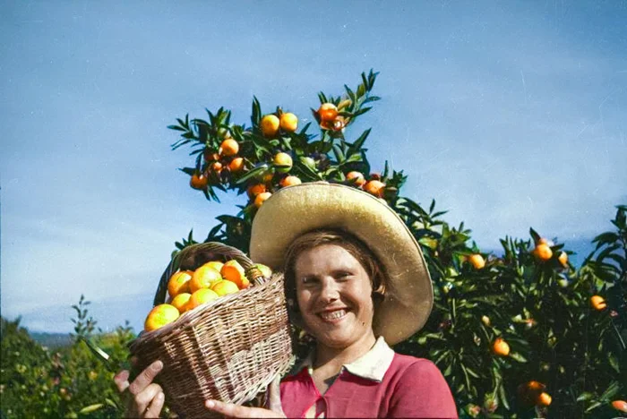 Советское прошлое в цвете: 20 потрясающих ретро-фото