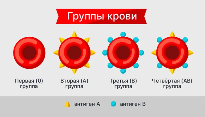 «Золотая» кровь: почему её носителей меньше 50 человек в мире?