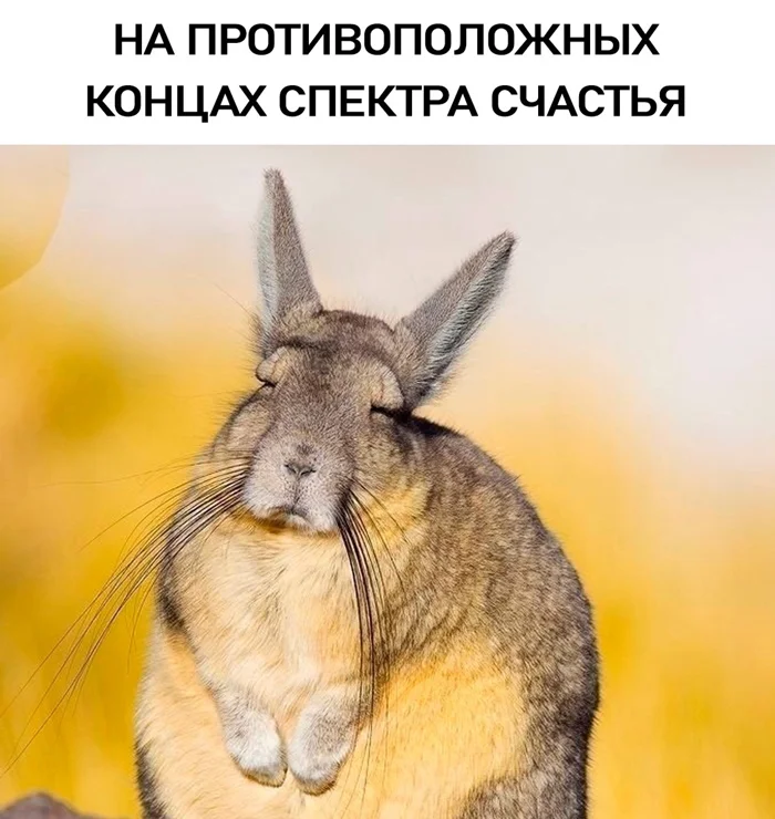 Счастье бывает разное