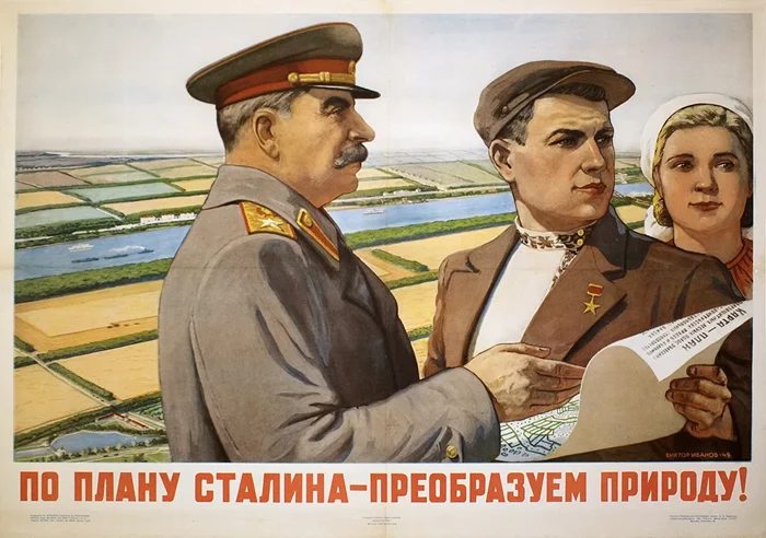 Что стало со сталинскими лесополосами: почему в СССР не удалось обуздать природу