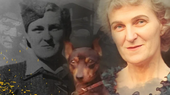 От кухни до концлагеря: как домохозяйка из США попала в Майданек