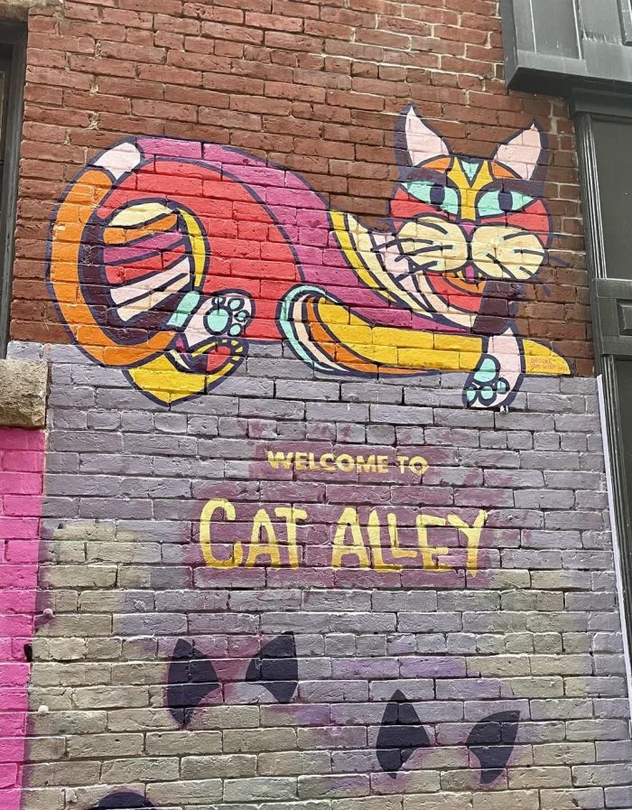 Необычная «Кошачья аллея»: когда уличное искусство встречается с пушистыми вдохновителями