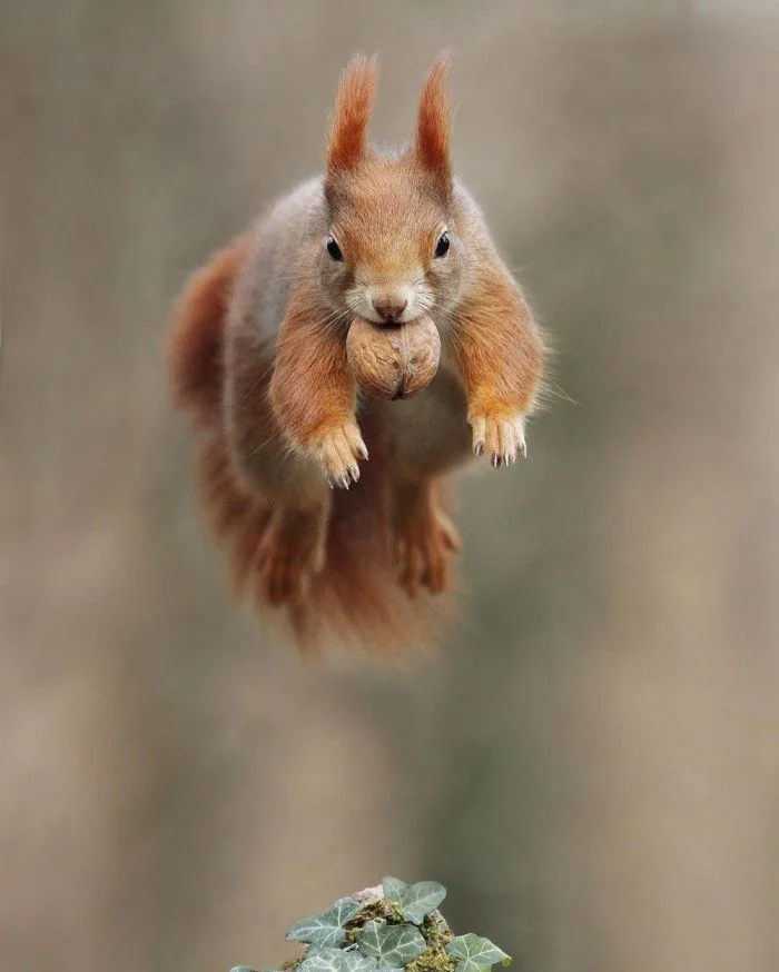 Подборка картинок на общую тему
