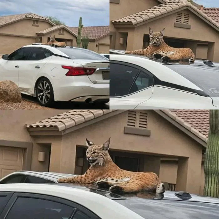 Когда всё против тебя: 23 примера неудачного дня