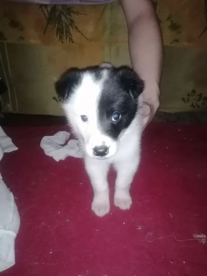 26 трогательных примеров того, как люди нашли своё счастье