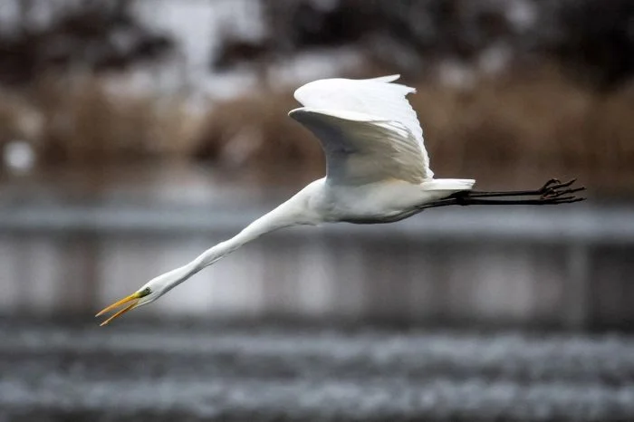 Картинки на общую тему