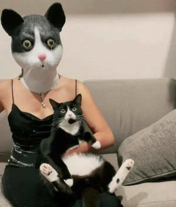 Взбалталось и намешалось