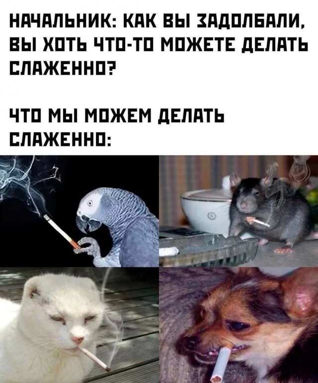 Вот такие скрины из соцсетей