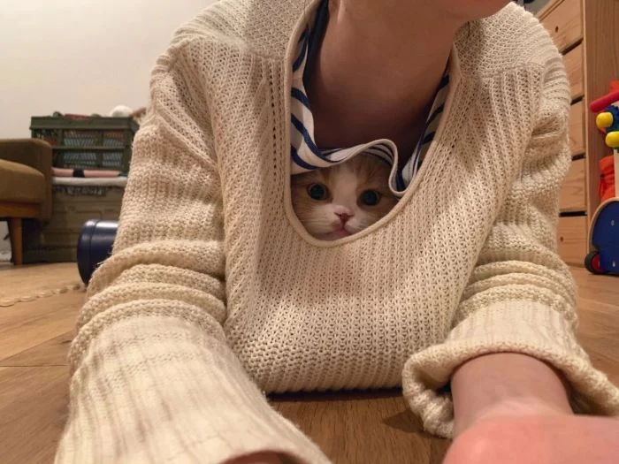 Фото выходного дня