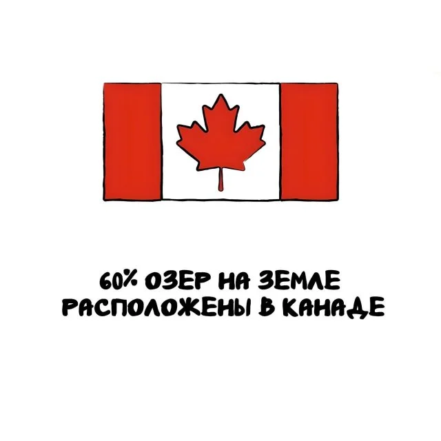 Любопытные факты