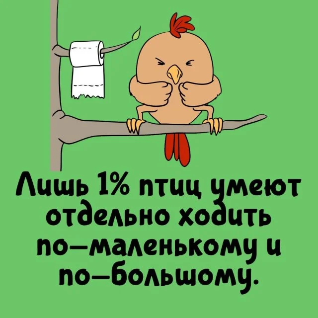 Подборка интересных фактов