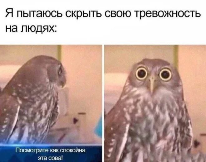 Новые скрины из соцсетей