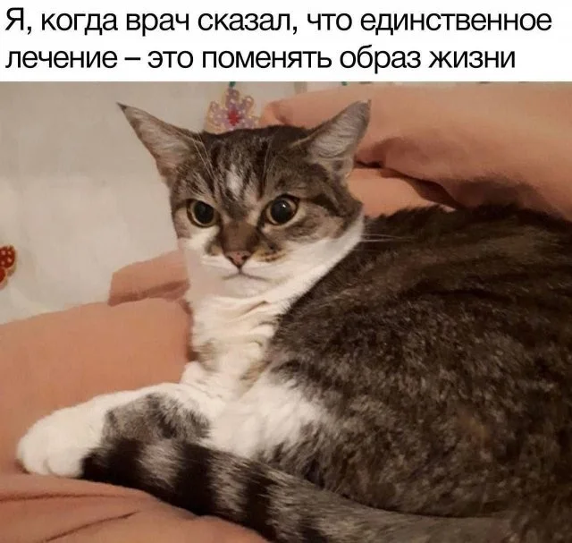 Вот такие скрины из соцсетей