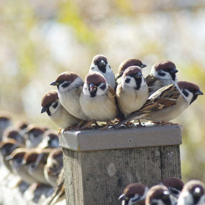 Подборка картинок на общую тему