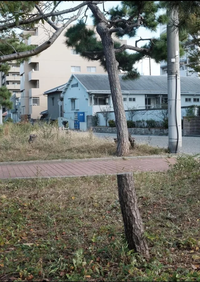 Оптические иллюзии в реальной жизни: 15 запутанных кадров