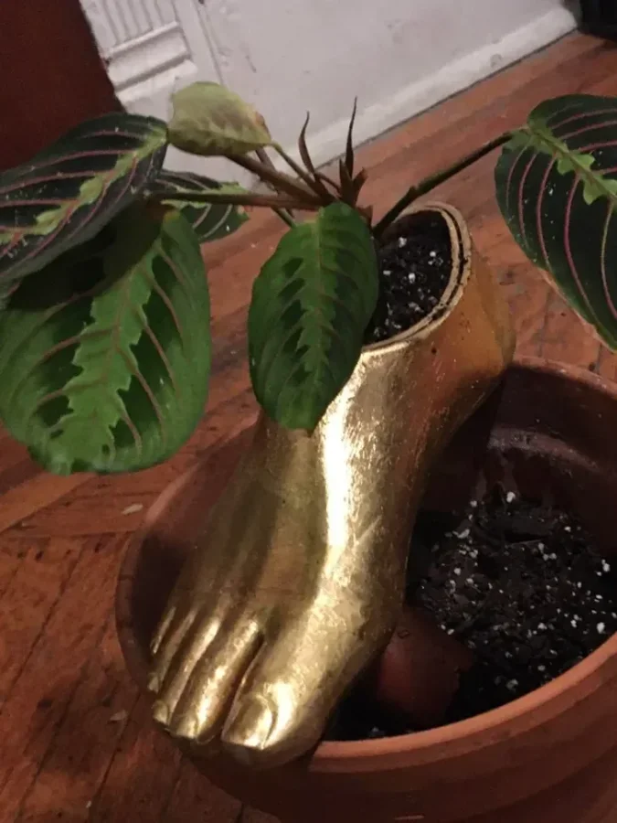 16 забавных дизайнерских решений, созданных с отличным чувством юмора