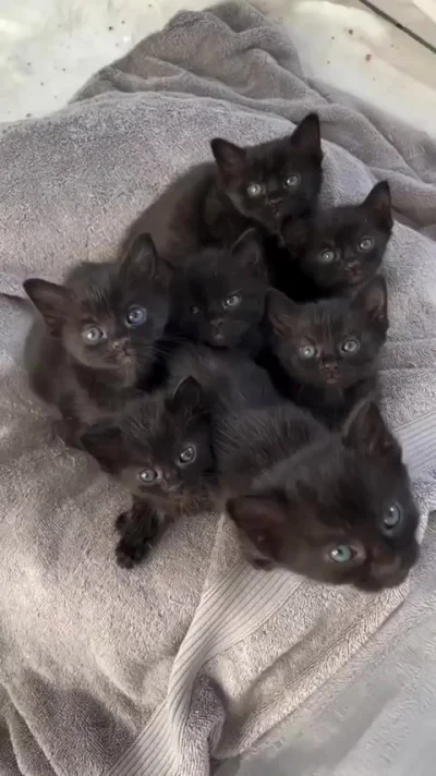 Тьма тьмущая зовет