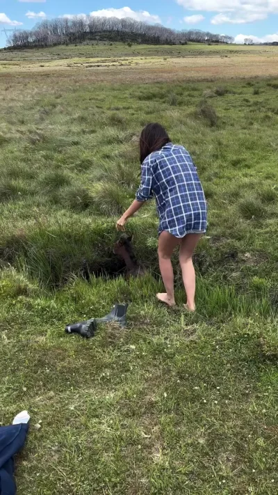 Спасение жеребёнка