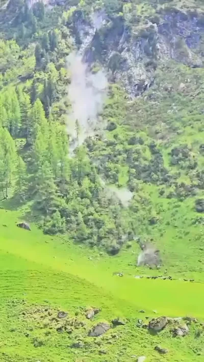 Валун и коровки