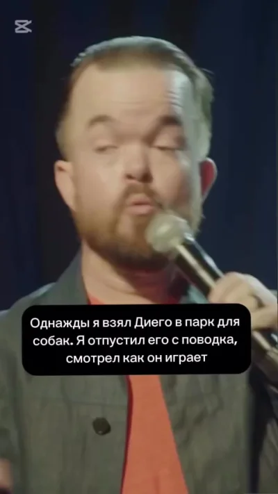 Карлик против далматинца