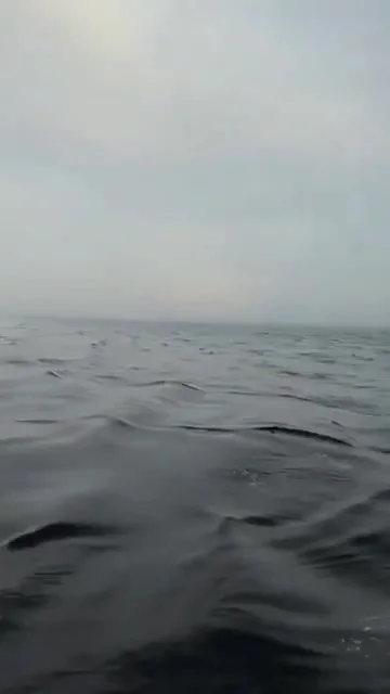 Граница между волнами и штилем