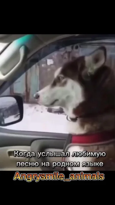 Родные напевы