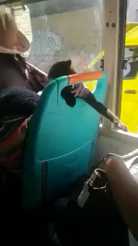 Шалун в общественном транспорте