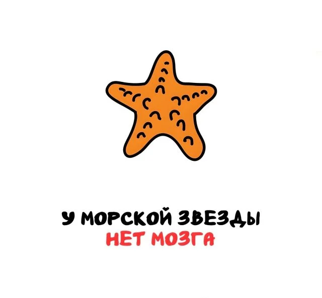 Любопытные факты, которые пригодятся в любой ситуации