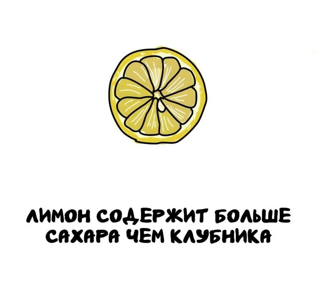 Любопытные факты