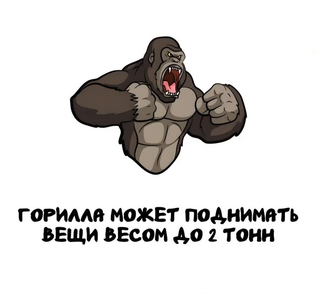Факты, которые удивят и развлекут