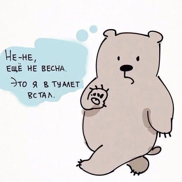 Грузовик с юморными картинками