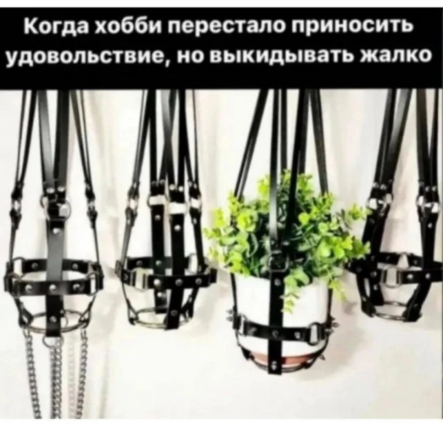 Веселые улыбахи #5