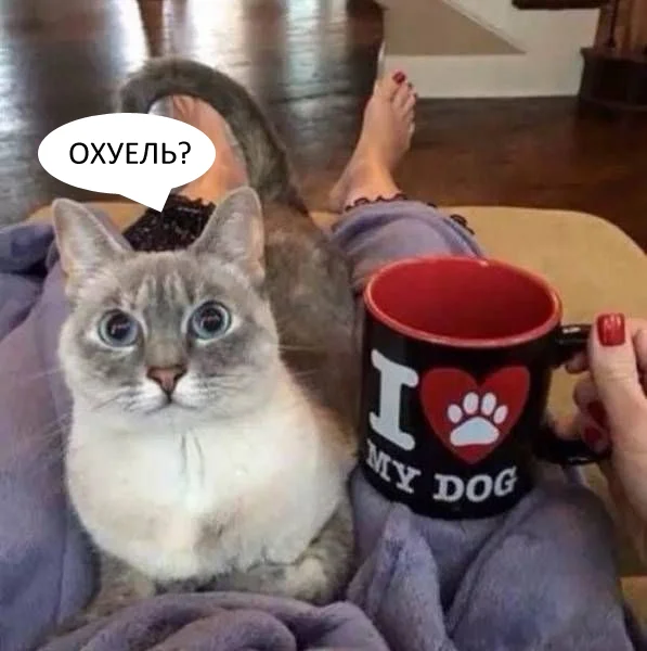 Кото-баяны