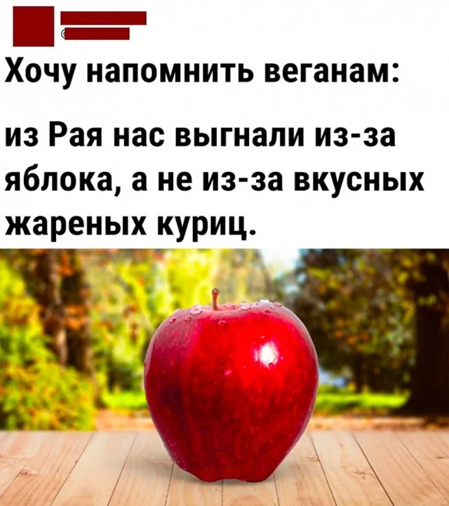 Веселье и кайф