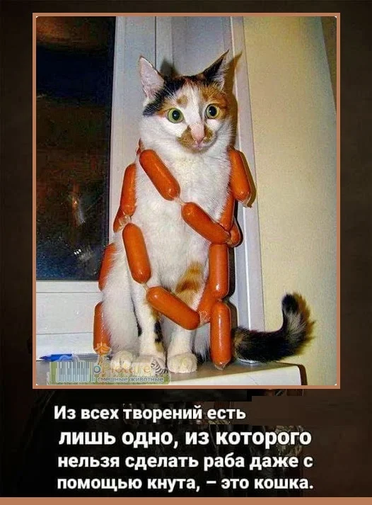 Картинки с надписями