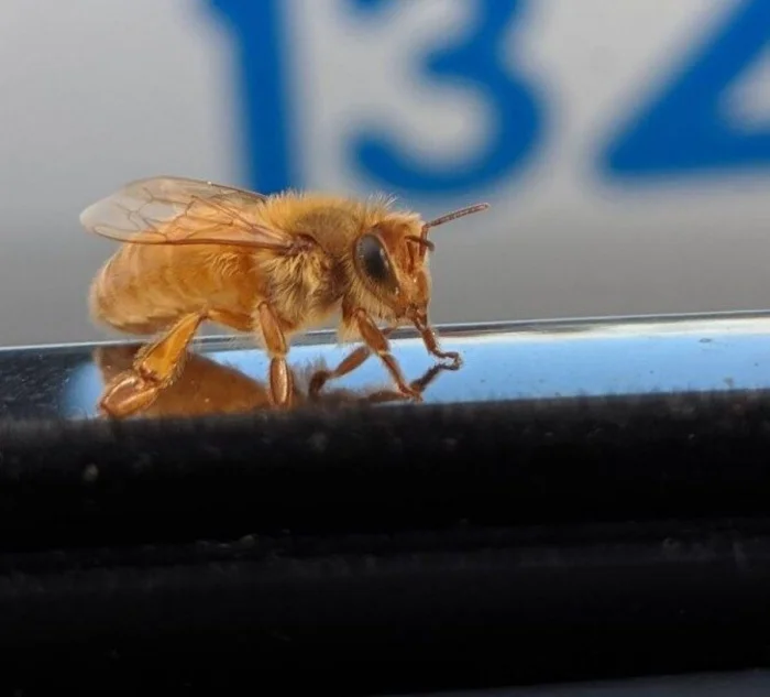 25 редких фото, раскрывающих величие природы и человеческого гения