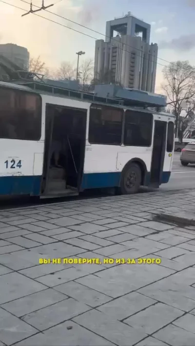 Водитель-тролль