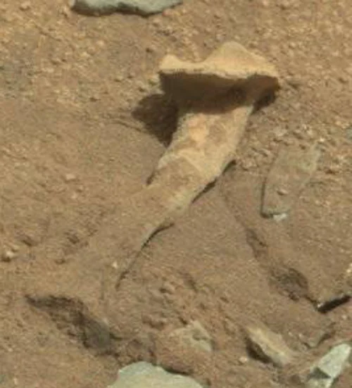 Экс-агент ЦРУ заявил, что на Марсе была жизнь – и у него есть доказательства