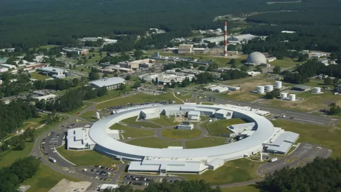 Какие последствия оставил эксперимент с цезием-137 в американском лесу?