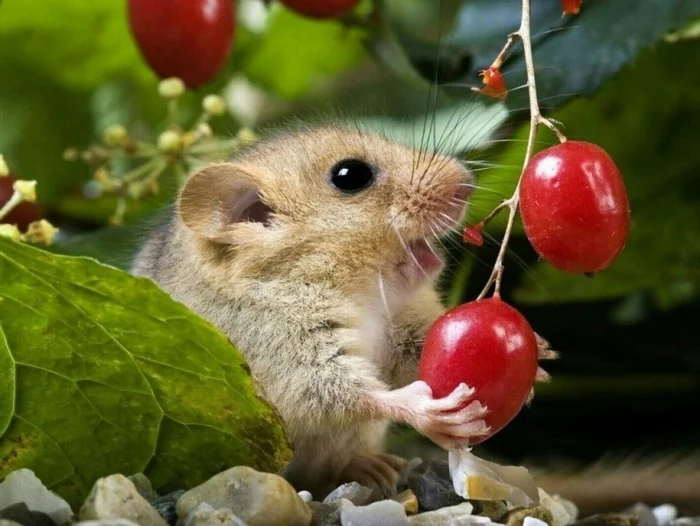 Фото для настроения