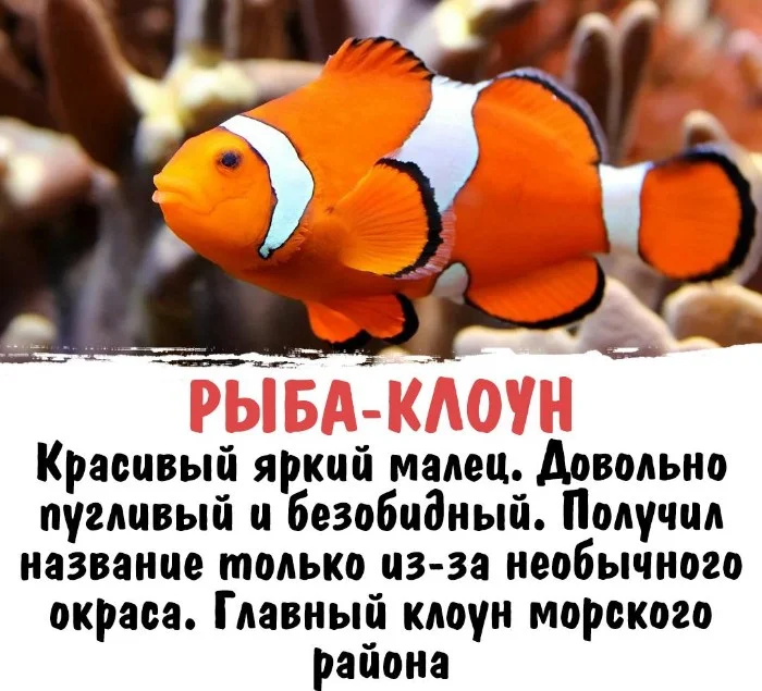 Интересная биология #60