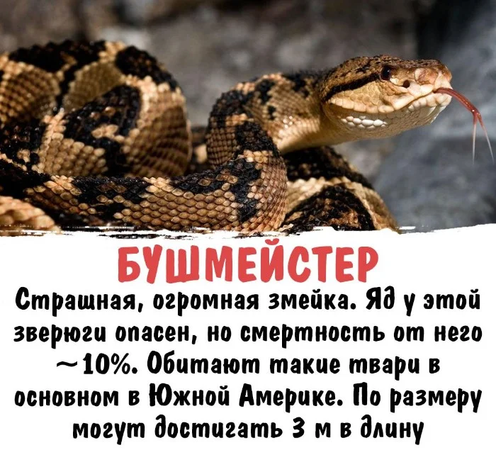 Интересная биология #61