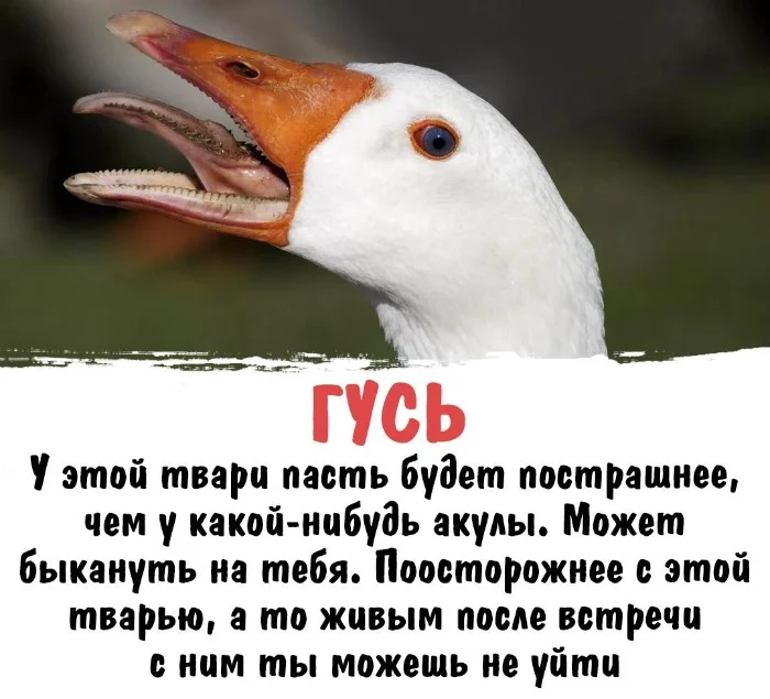 Интересная биология #70